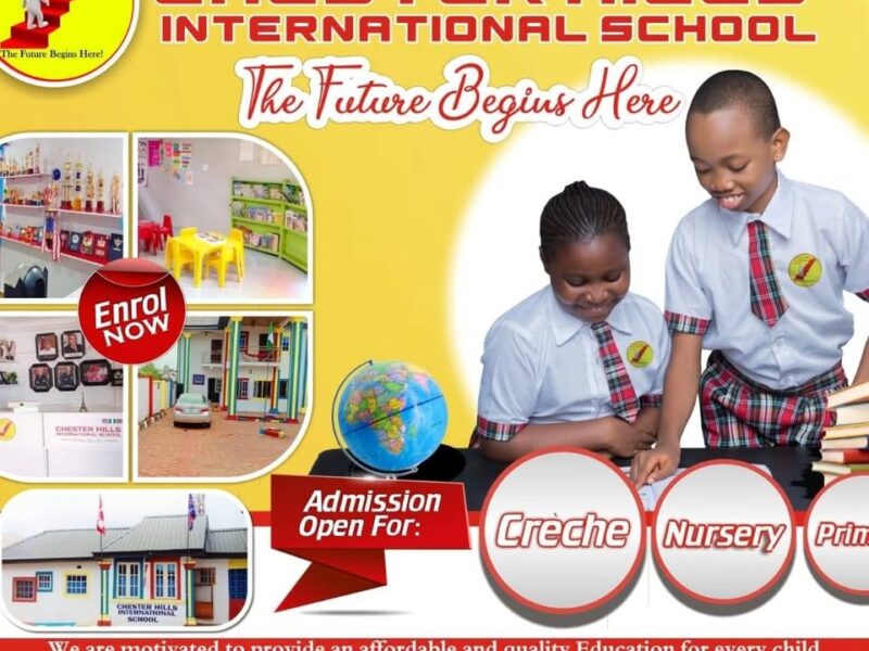 Chester Hills International School