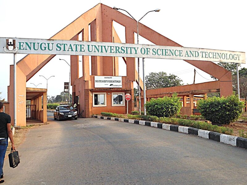 Enugu State University of Science and Technology (ESUT)