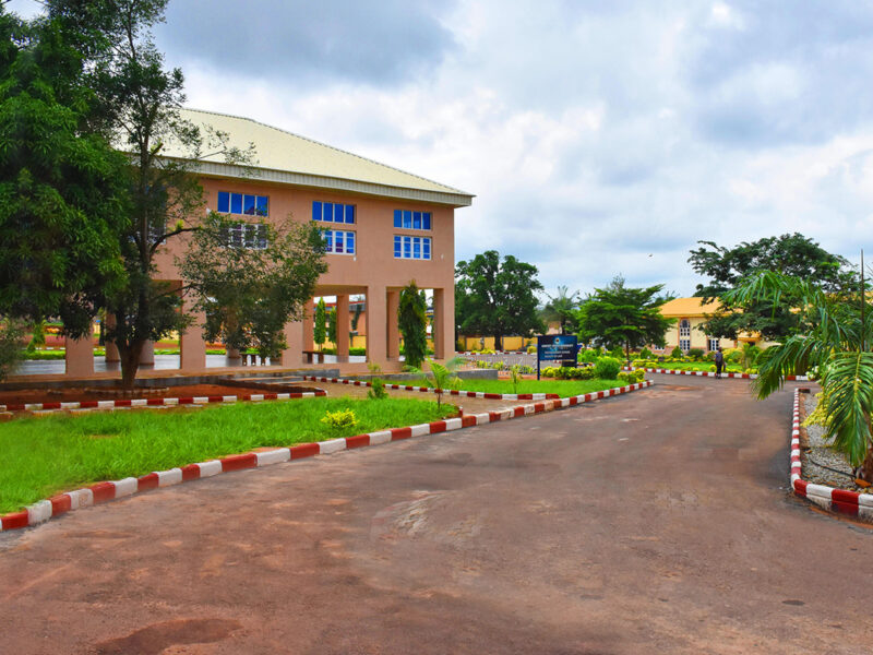 Godfrey Okoye University (GOUNI)