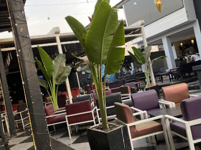 NOX Resturant and Lounge