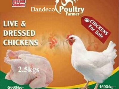 Dandeco Farm