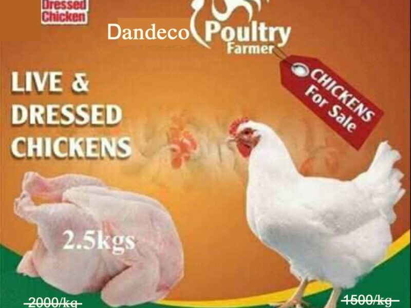 Dandeco Farm