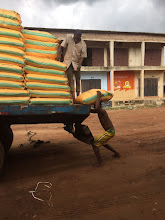 LITTLE WORLD AGRO ALLIED INDUSTRIES LTD