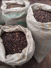 Sonua Farms