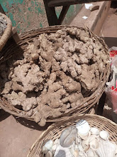 Sonua Farms