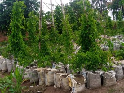 Reocoorph Foundation – The Lord’s Kitchen (Verified)🎖️