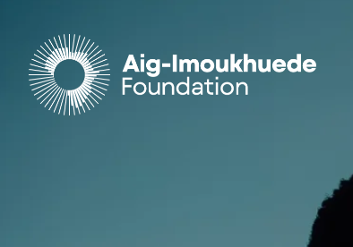 AIG Public Leaders Programme